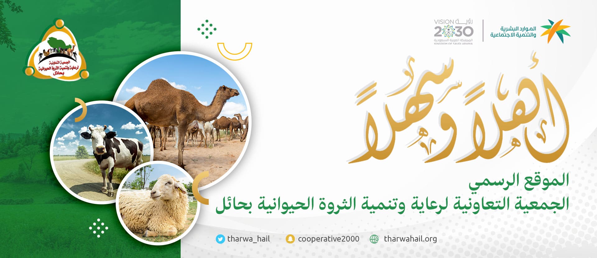 بنر-الموقع-الجمعية-التعاونية-لرعاية-وتنمية-الثروة-الحيوانية-بحائل